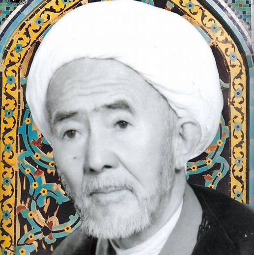 علامه محمد علی مدرس افغانی