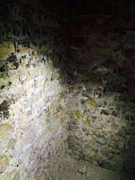 امام موسی کاظم(ع) برای چه زندانی شد؟