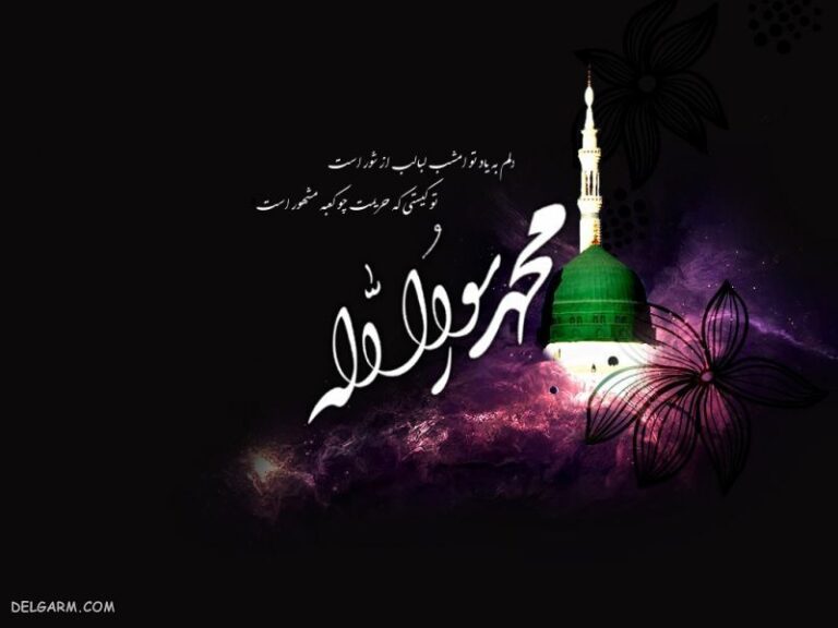 رحلت پیامبر ص