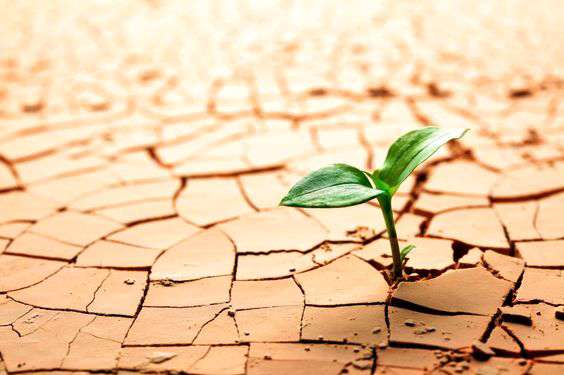 صبر و تسلیم در امتحان الهی