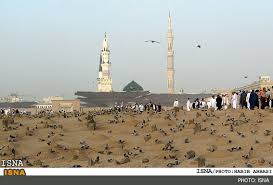 سيماي شيعيان 11